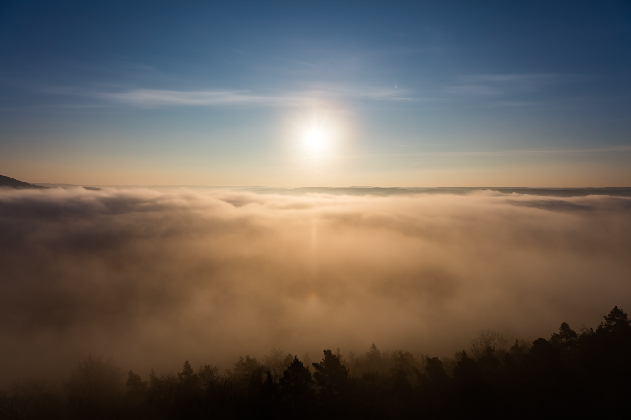 Atmospheric Optics: The Jena diamond dust halos - Marco Rank