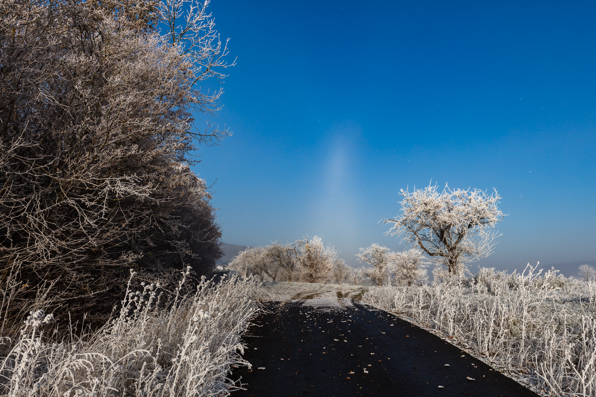 Atmospheric Optics: The Jena diamond dust halos - Marco Rank